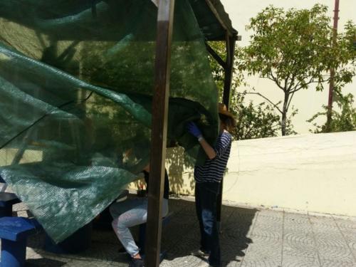 Dia do Voluntário