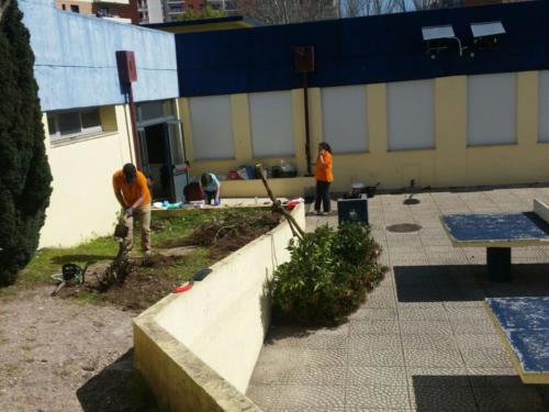 Dia do Voluntário