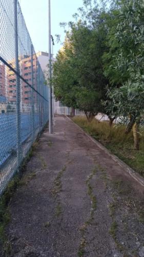 Dia do Voluntário